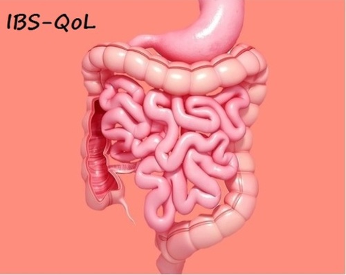 Irritable Bowel Síndrome Quality of Life Questionnaire (IBSQoL)